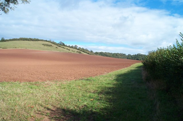 The Polden Hills in Somerset is bidding to combat climate change. Picture: Barbara Cook