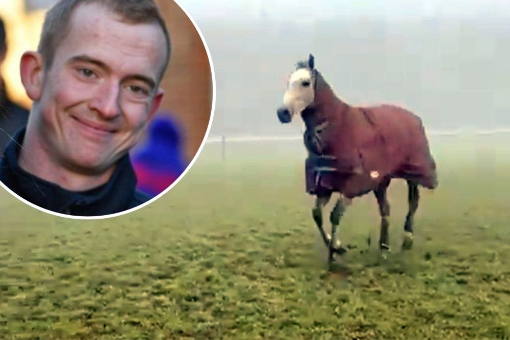 Highland Hunter led the funeral procession of jockey, Keagan Kirkby. Pictures: Paul Nicholls/Fergal O'Brien