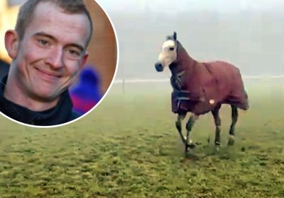 Highland Hunter led the funeral procession of jockey, Keagan Kirkby. Pictures: Paul Nicholls/Fergal O'Brien