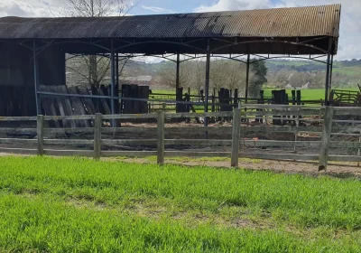 The fire destroyed a barn at a farm off Taunton Road, Wiveliscombe, on Sunday, March 17. Picture: Avon & Somerset Police