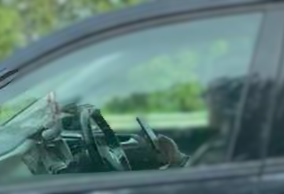 The driver was pictured using their mobile behind the wheel on the M5 in Somerset. Picture: Avon & Somerset Police