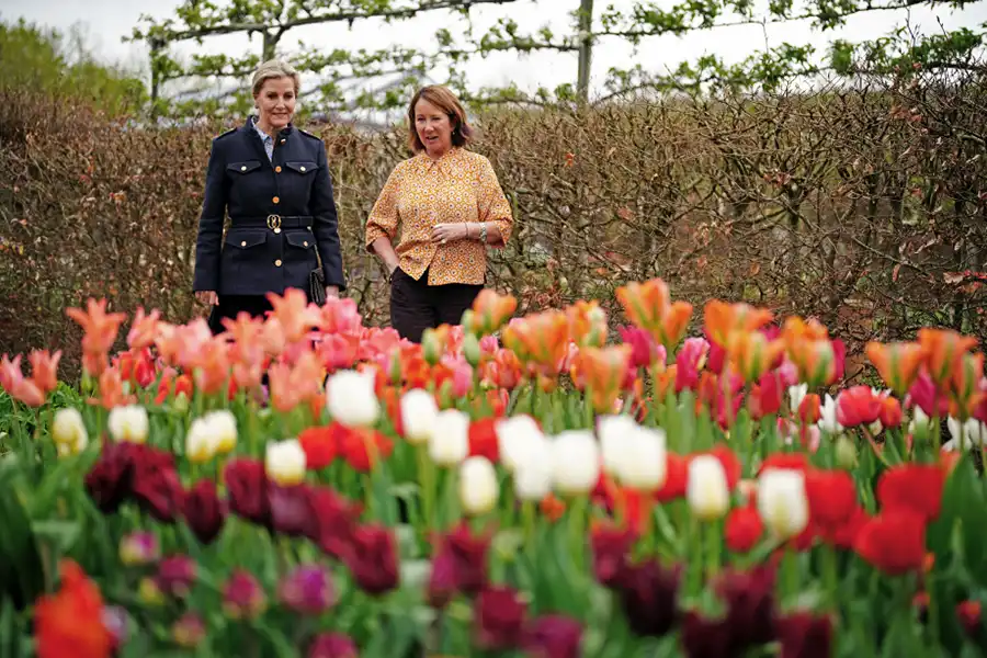 The Duchess of Edinburgh at the Yeo Valley organic garden