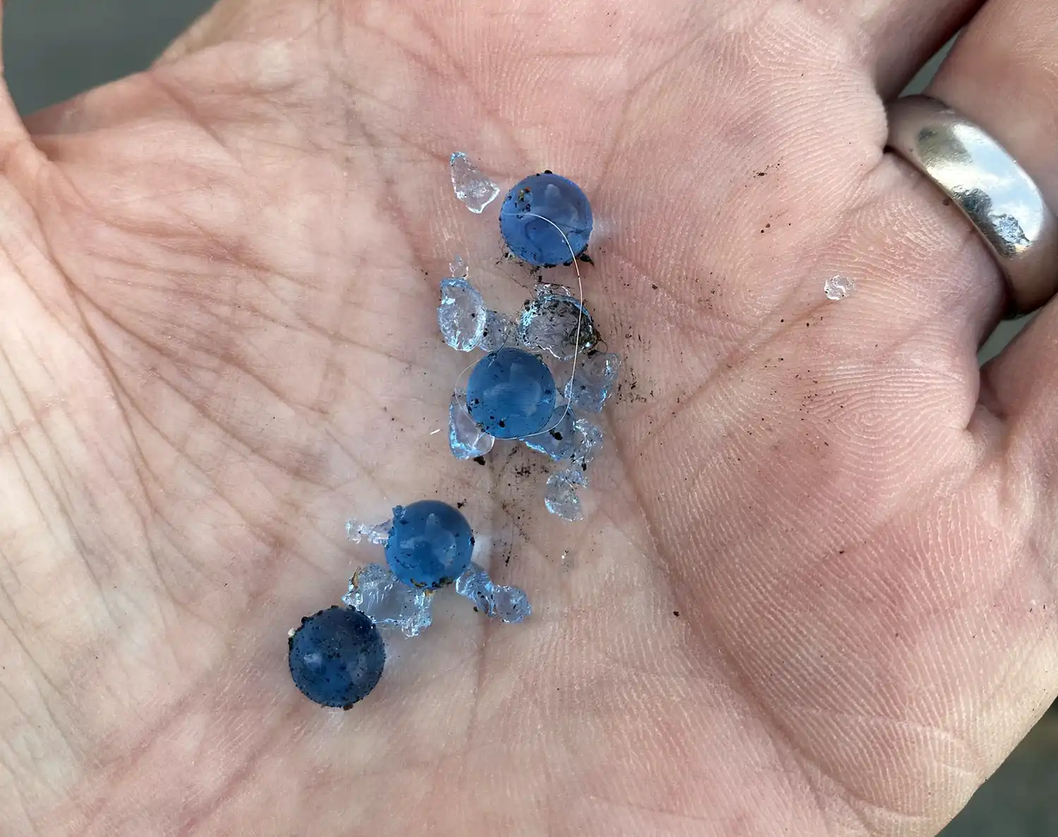 Cara posted an image of pellets found at the scene on X (formerly Twitter)