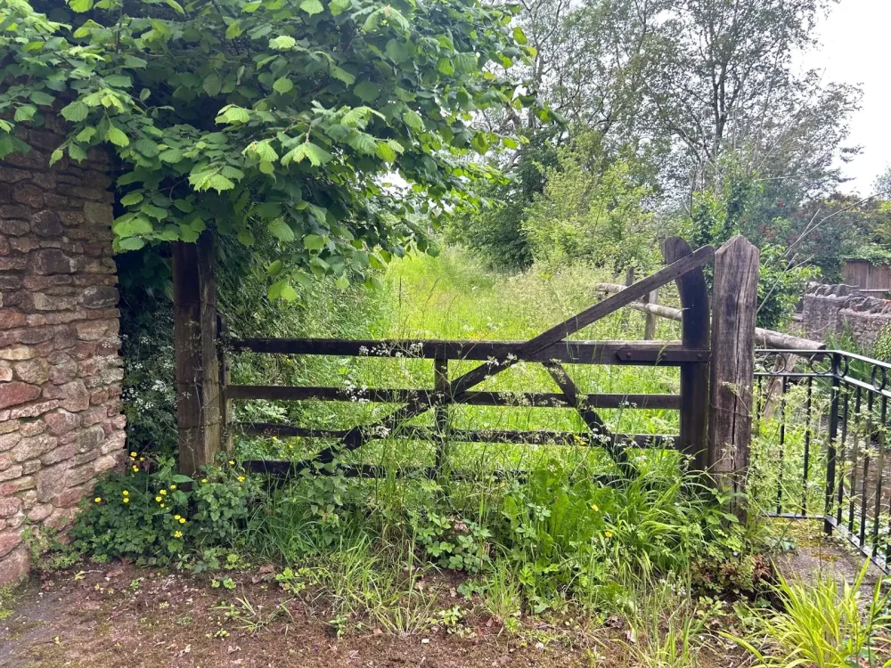 Amenity, pasture land at Croscombe, near Wells, sold for £66,000 – dwarfing its £25,000 guide price. Picture: GTH
