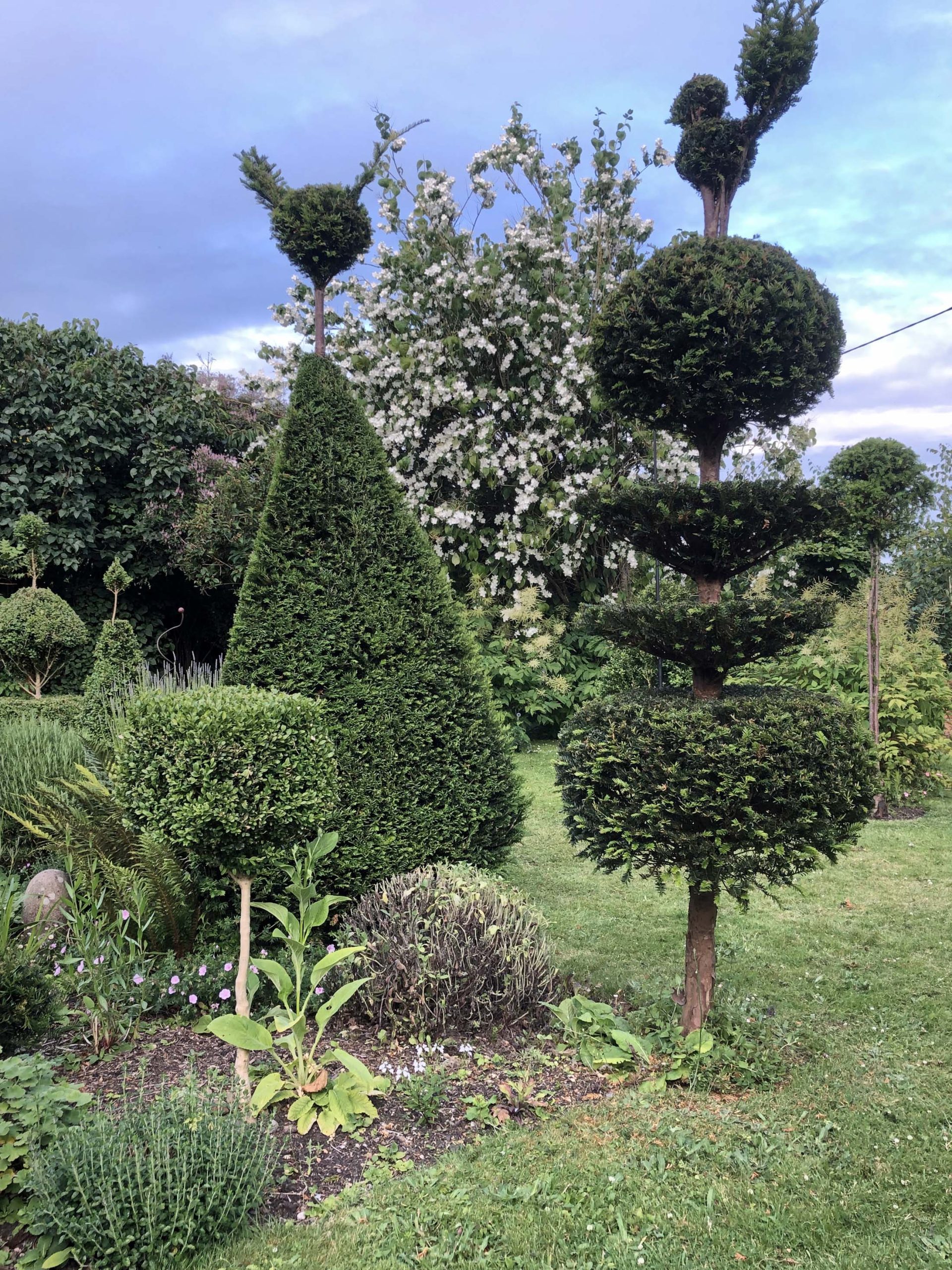 Hugh Johnson's submission was highly commended Picture: Henchman