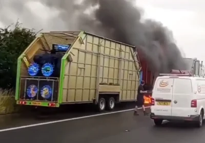 The lorry caught fire on the M5 this morning