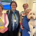 Mariie Curie Companions at Musgrove Park Hospital