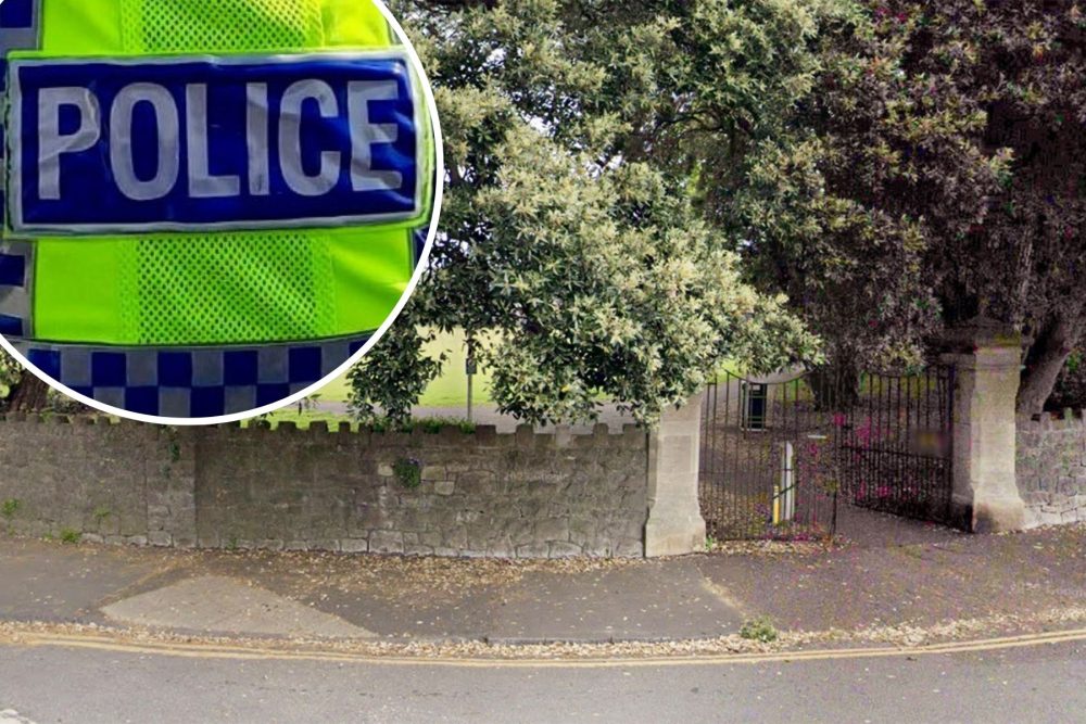 The alleged attack happened in Knightstone Gardens in Weston. Picture: Google