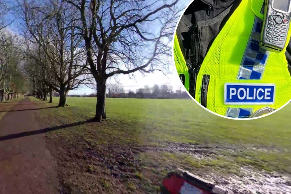 The victim was attacked in Hamilton Park, Taunton, police said. Picture: Google