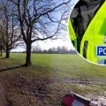 The victim was attacked in Hamilton Park, Taunton, police said. Picture: Google