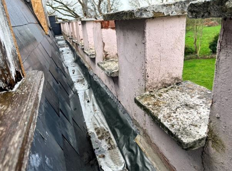 Woodlands Castle near Taunton has fallen into disrepair