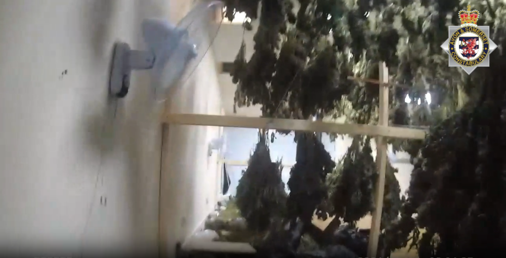 Police have thanked the member of the public who alerted them to the site Picture: Avon and Somerset Police