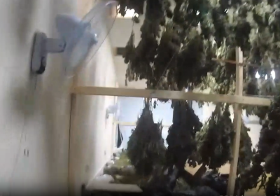 Police have thanked the member of the public who alerted them to the site Picture: Avon and Somerset Police