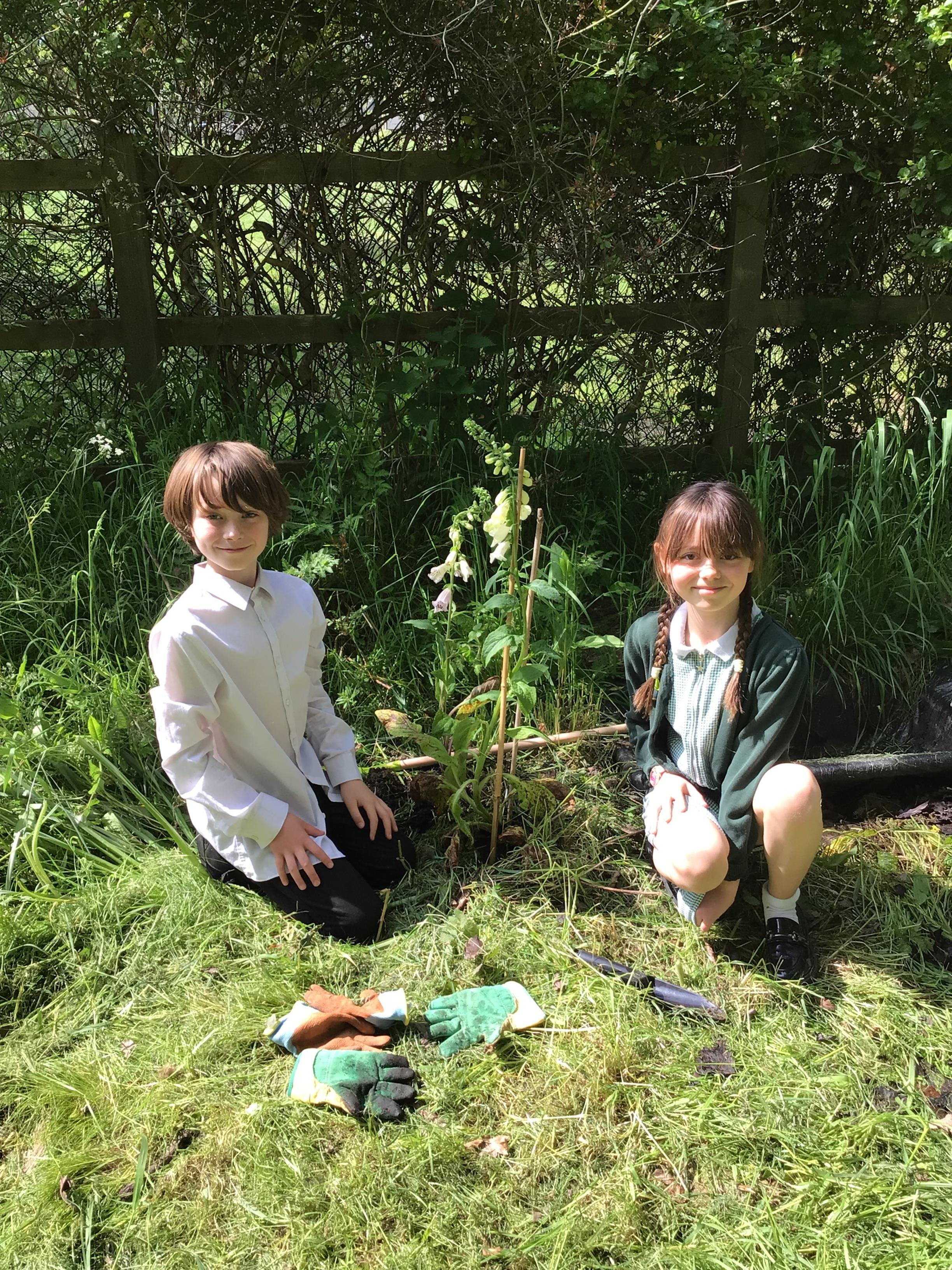 Members of the school's eco club Picture: Hambridge Primary School