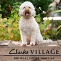 Could your dog be the next CEO at Clarks Village?