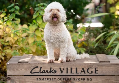 Could your dog be the next CEO at Clarks Village?