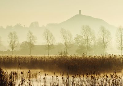 The Wildlife Trust say Somerset is one of the UK's most climate vulnerable areas Picture: Guy Edwardes