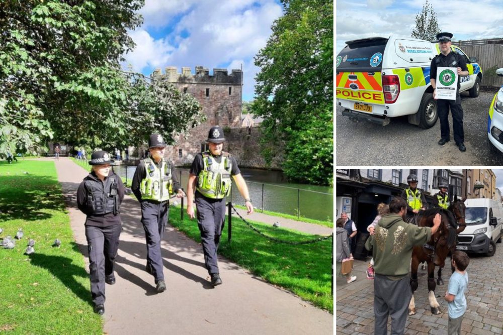 Police were out in force across the Mendip and South Somerset areas during a week of action. Pictures: Avon & Somerset Police