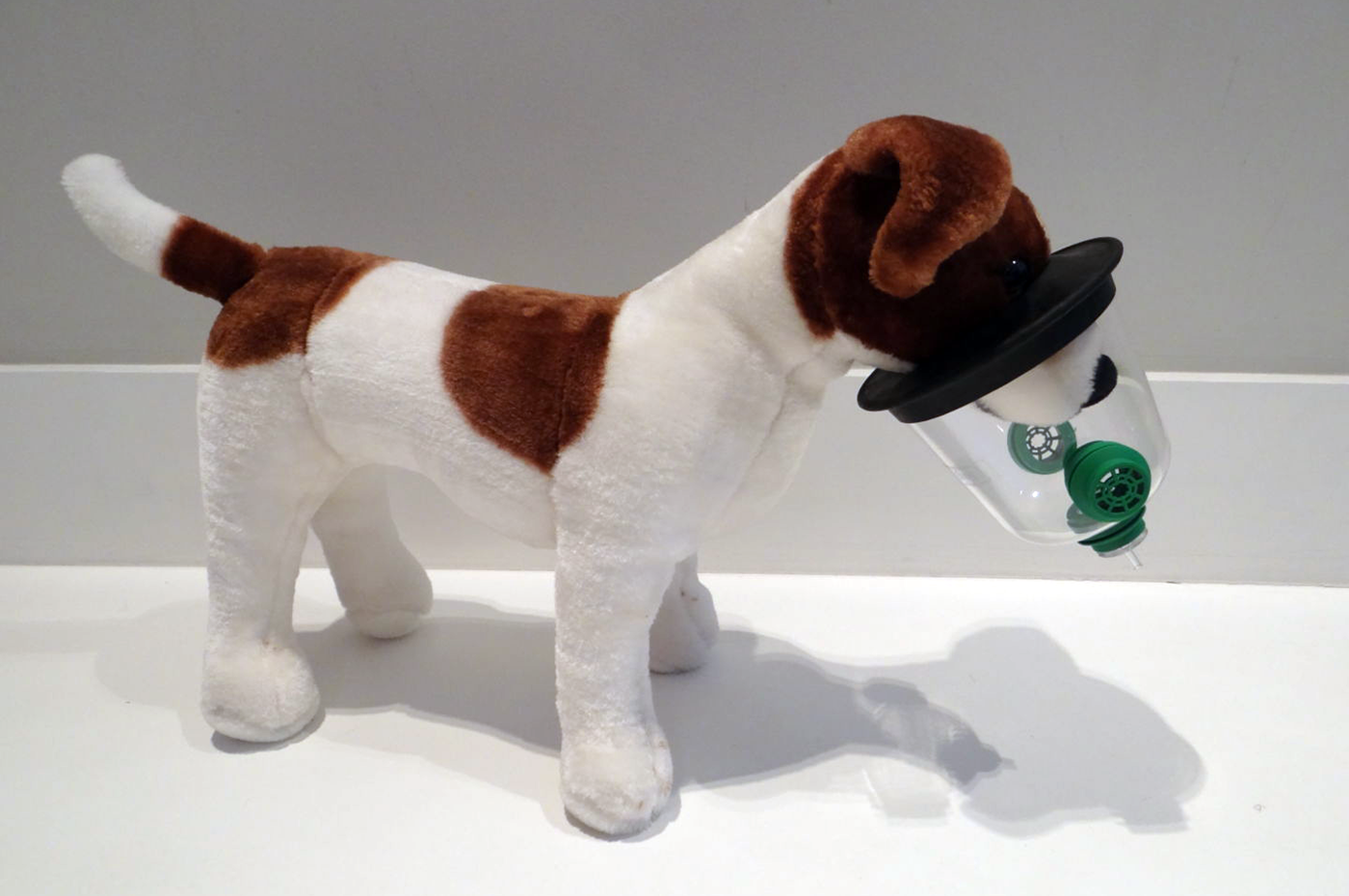 The Yeovil firefighters used dog smoke masks provided by the Smokey Paws charity during the rescue. Picture: Smokey Paws