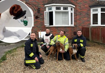 Firefighters rescued the two dogs from the Yeovil property - after they started a fire while trying to reach cupcakes... Pictures: Yeovil Fire Station/Smokey Paws