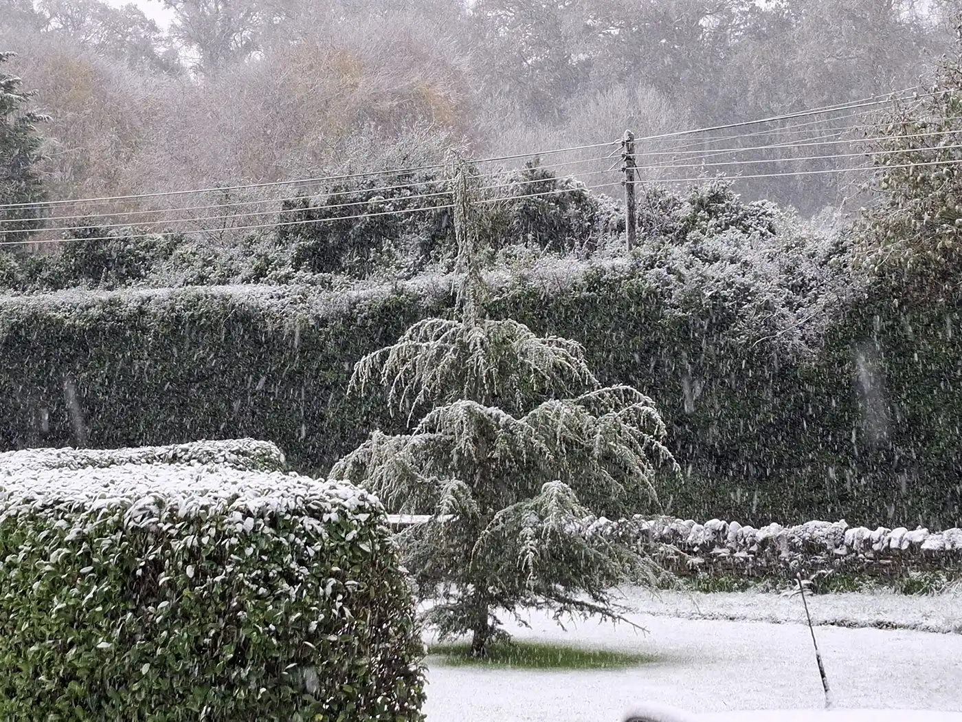 Yeovil, by Sarah Fishenden