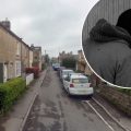 The teens were followed in Tyning Road, Combe Down, by the group