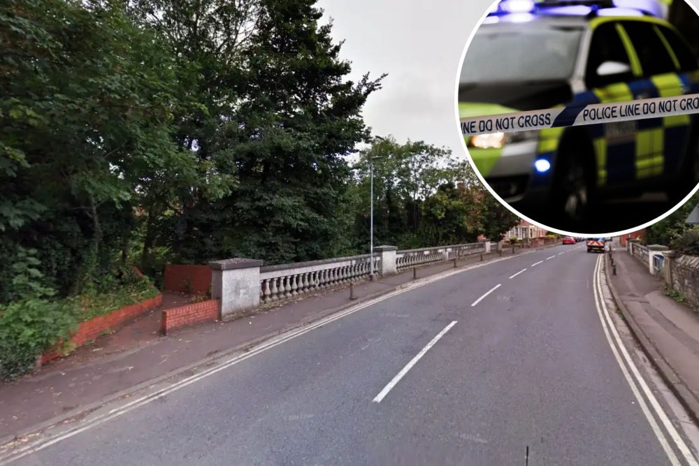 The woman was attacked in an alleyway off Victoria Road in Bridgwater, police said. Picture: Google