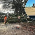 Chainsaw teams tackled fallen trees on the A367 and sand was whipped up onto road in Burnham-on-Sea Picture: Somerset Council