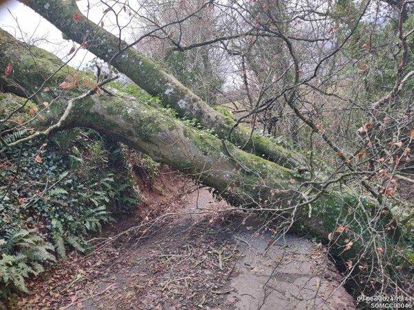 Chapel Leigh Road Lydeard St Lawrence Picture: Somerset Council