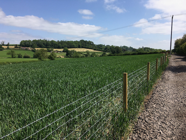 More than £21,000 was raised from the Crowdfunder, with additional money received from Sustrans, Somerset Council, Sport England and an anonymous donor Picture: Frome Missing Links