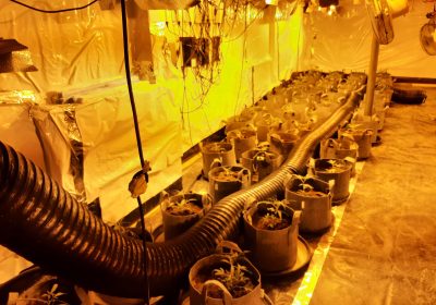 The investigation is ongoing, police have said Picture: Avon and Somerset Police