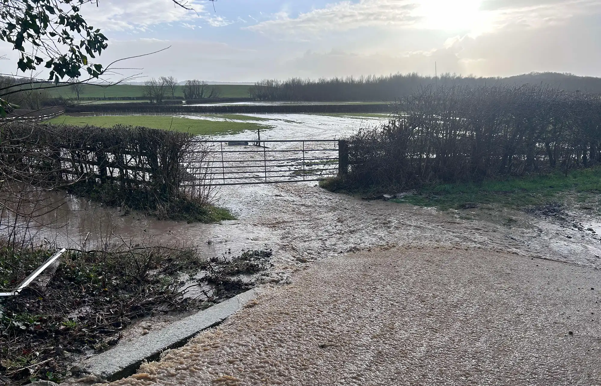Flooding at Glenda Spooner Farm, home of World Horse Welfare, near Somerton