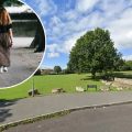 The rules will govern how dogs must be controlled in public spaces in the former Mendip district. Picture: Google