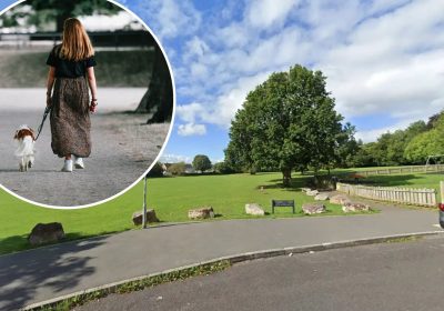 The rules will govern how dogs must be controlled in public spaces in the former Mendip district. Picture: Google