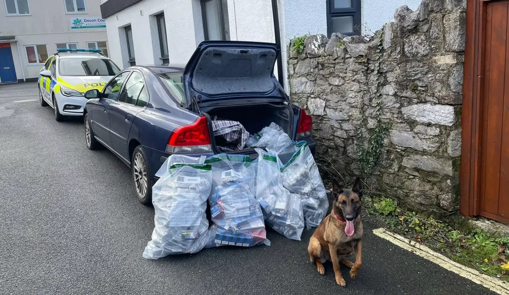 Sniffer dog Bellatrix took part in the operation. Picture: Trading Standards