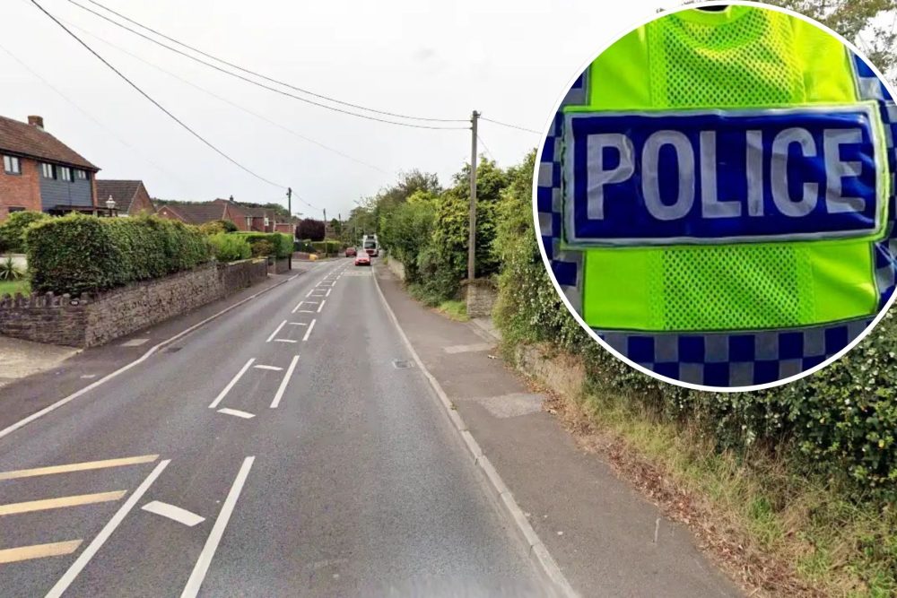 The dog and a runner were hit by a car in Combe Street Lane, Yeovil, police said. Picture: Google
