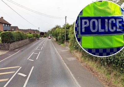 The dog and a runner were hit by a car in Combe Street Lane, Yeovil, police said. Picture: Google