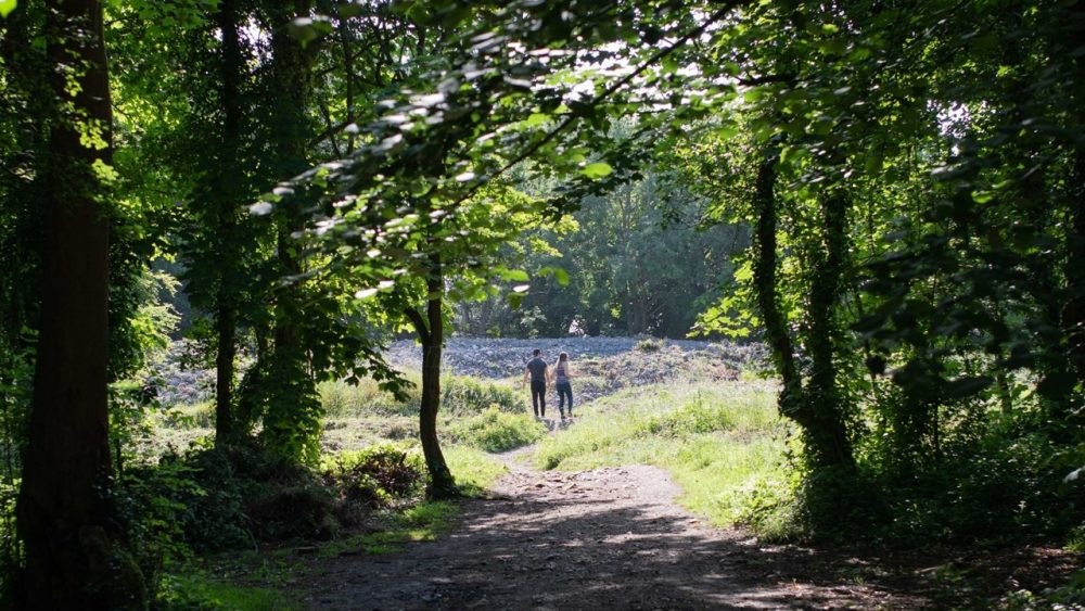 The woods will see unrestricted access at weekends while the work takes place Picture: North Somerset Council
