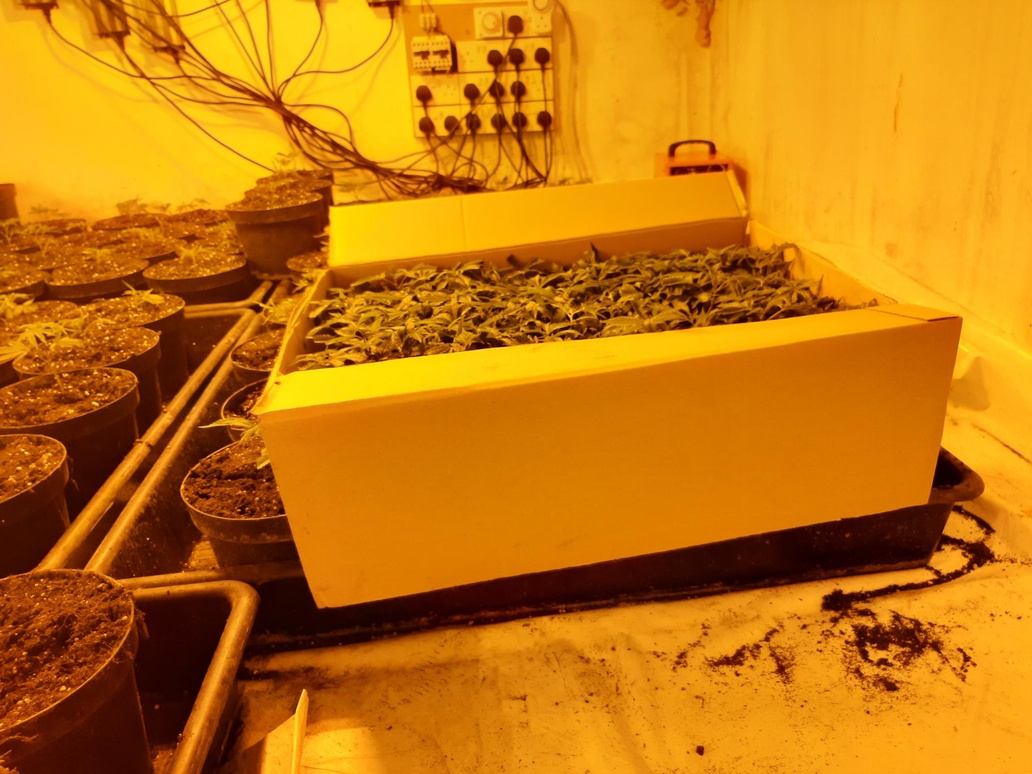 Police also found a set of keys which led them to a cannabis growth in Yeovil Picture: Avon and Somerset Police