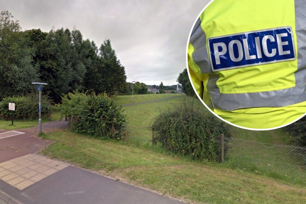 The victim was attacked in Stringfellow Park, Chard, police said. Picture: Google