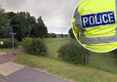 The victim was attacked in Stringfellow Park, Chard, police said. Picture: Google