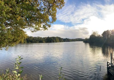 The work will improve flood defences at Chard Reservoir. Picture: Somerset Council