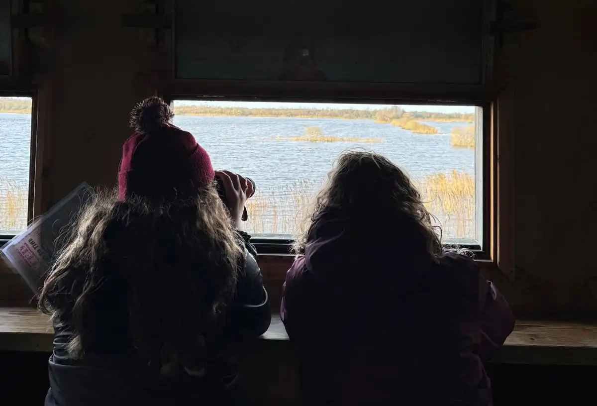 Youth Forum members in the bird hide at Westhay Moor