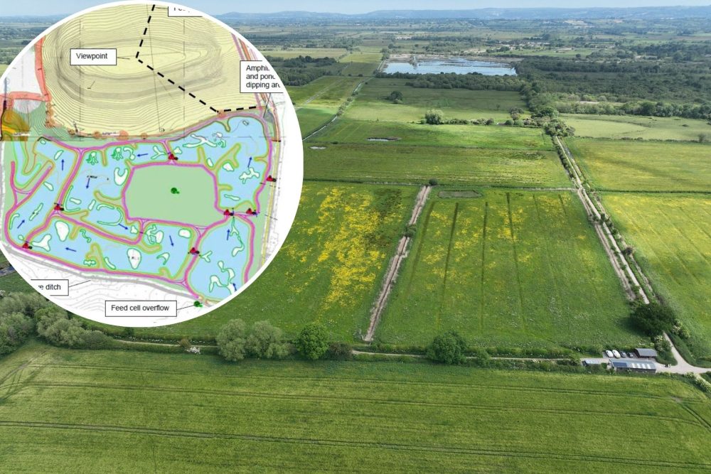 New wetlands and grasslands would be created on the Somerset Levels under the Wessex Water plan. Pictures: Wessex Water