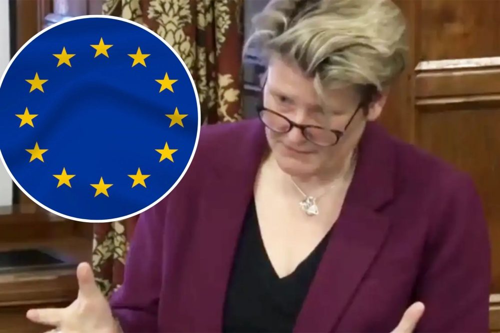 Glastonbury & Somerton MP Sarah Dyke called for a bespoke customs union with the EU for farmers