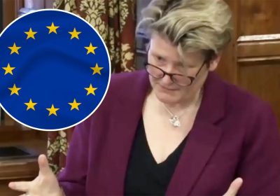 Glastonbury & Somerton MP Sarah Dyke called for a bespoke customs union with the EU for farmers