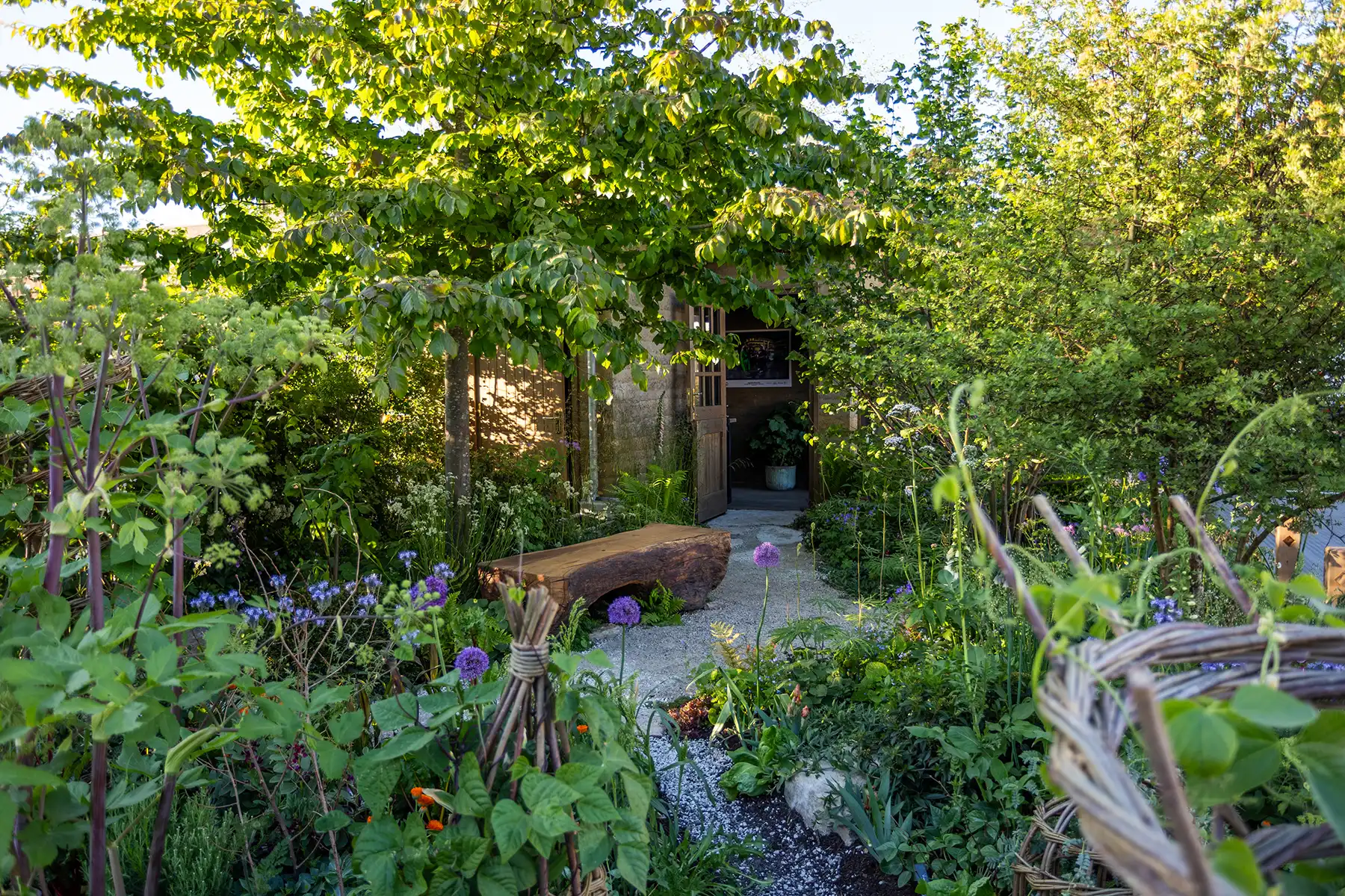 The garden features a range of innovations helping farmers in the Global South. Picture: Gates Archive/Emma Jacobs