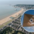Weston-super-Mare was among three Brown Flag Award winning beaches in Somerset