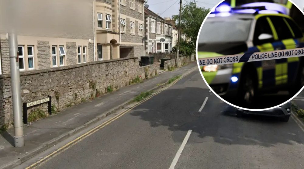 The stabbing occurred in Ashcombe Road, Weston, police said. Picture: Google