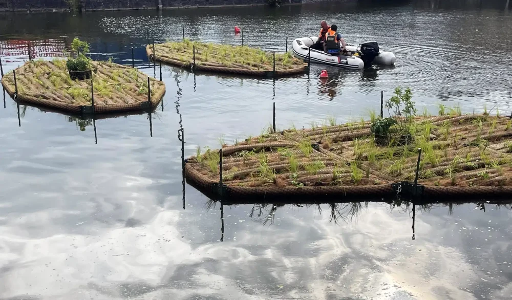The islands have been installed at Bridgwater Docks. Pictures: Somerset Council